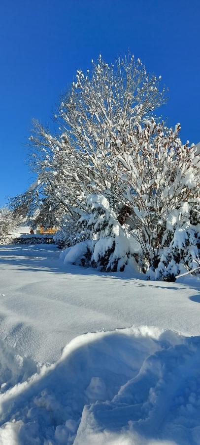 Dora'S Lechtraum Bach (Tyrol) Exterior foto