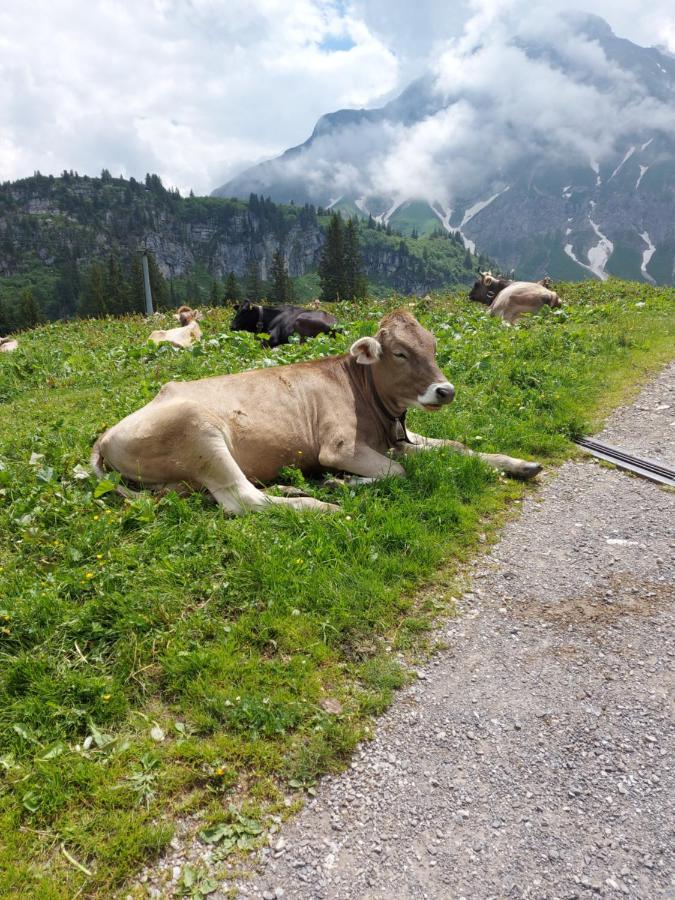 Dora'S Lechtraum Bach (Tyrol) Exterior foto