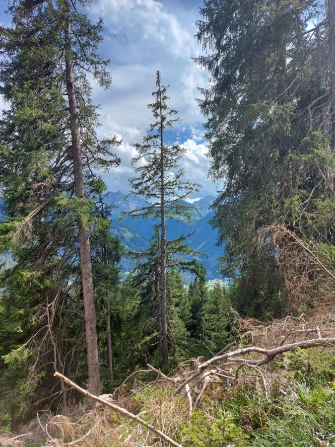 Dora'S Lechtraum Bach (Tyrol) Exterior foto